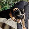 noiemacklin Altpins Profile Picture