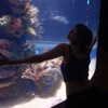 noiemacklin Altpins Profile Picture