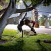 noiemacklin Altpins Profile Picture