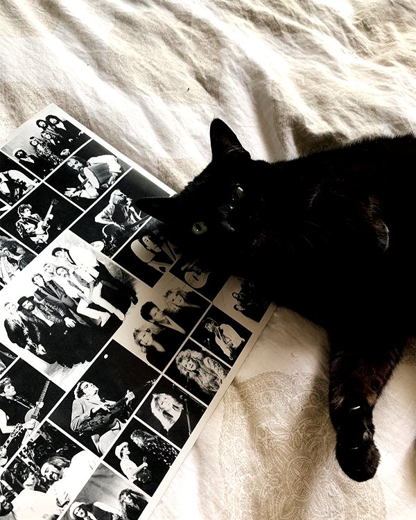 nonsalemwitch instagram image archive image