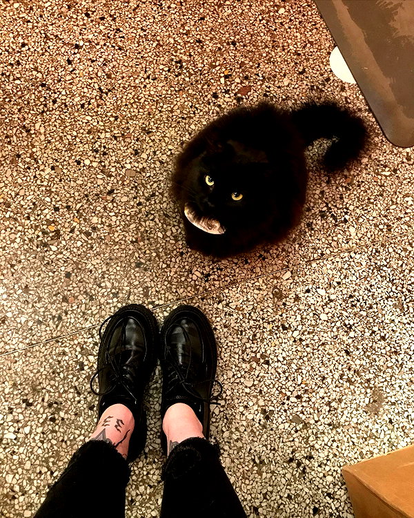 nonsalemwitch instagram image archive image