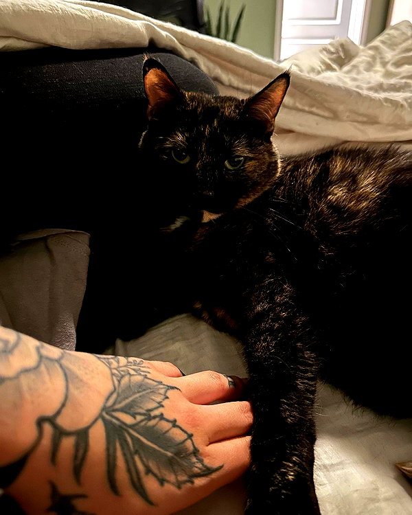 nonsalemwitch instagram image archive image