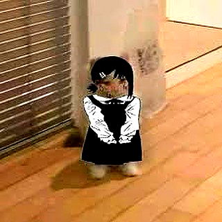 norafawn norafawn archive image