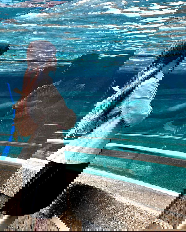 norafawn norafawn archive image