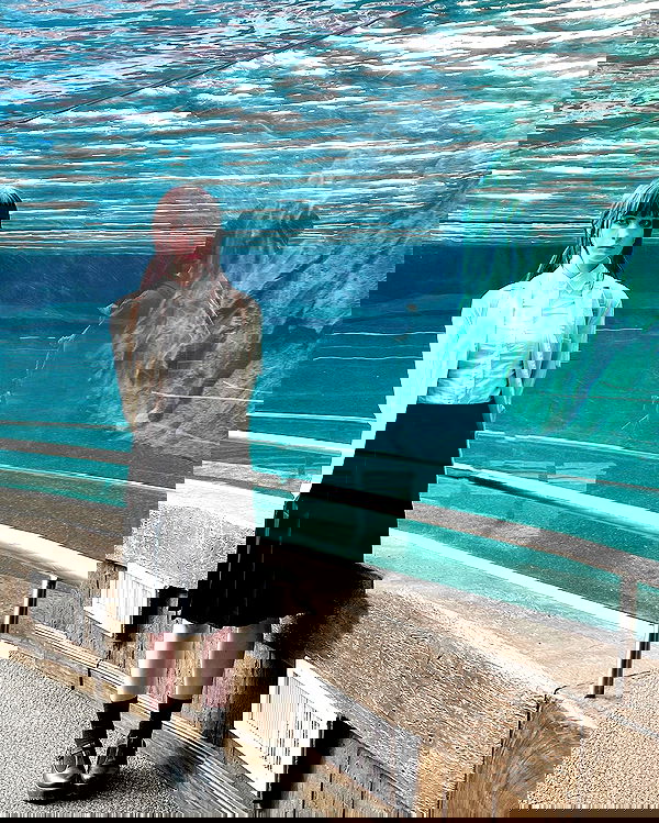 norafawn norafawn archive image