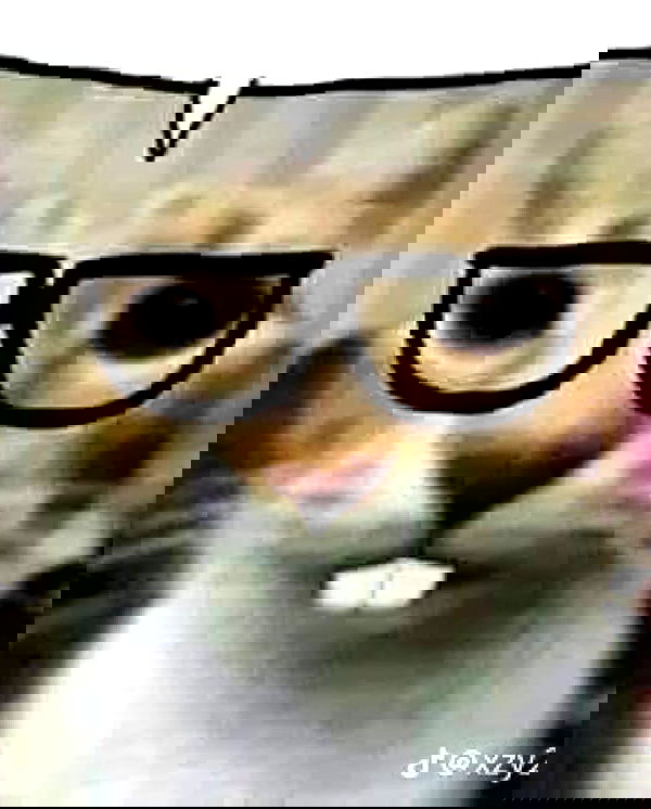 norafawn norafawn archive image