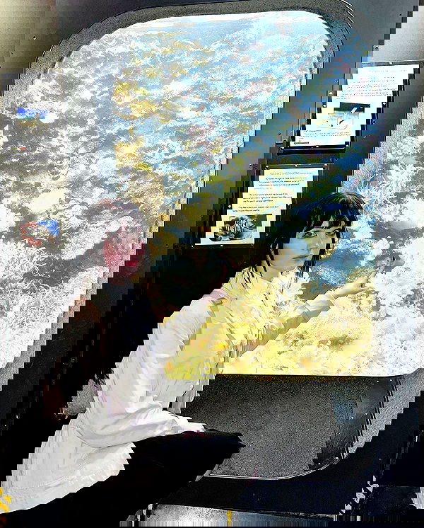 norafawn norafawn archive image