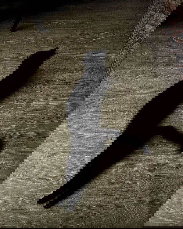 norafawn norafawn archive image