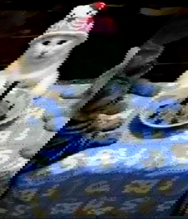 norafawn norafawn archive image