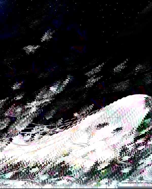 norafawn norafawn archive image