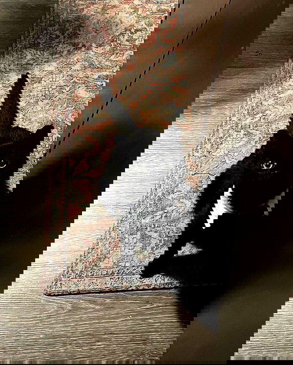 norafawn norafawn archive image