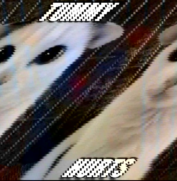 norafawn norafawn archive image