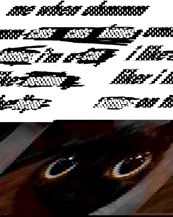 norafawn norafawn archive image