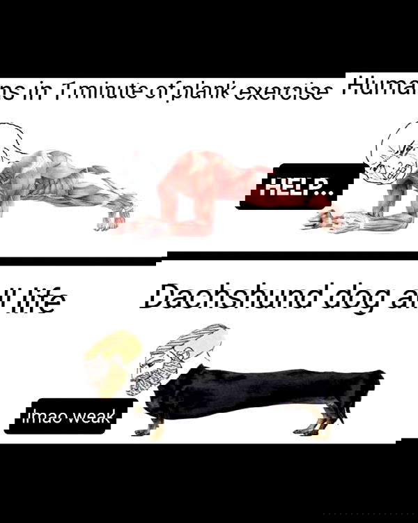 norafawn norafawn archive image