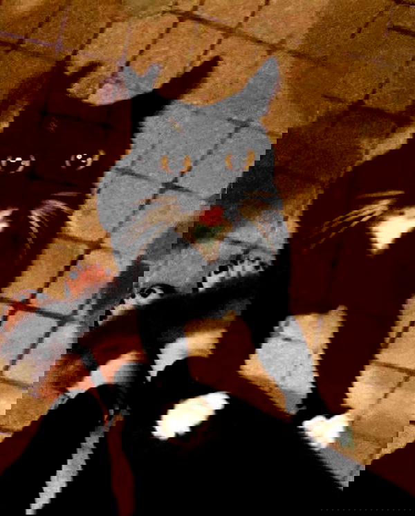 norafawn norafawn archive image