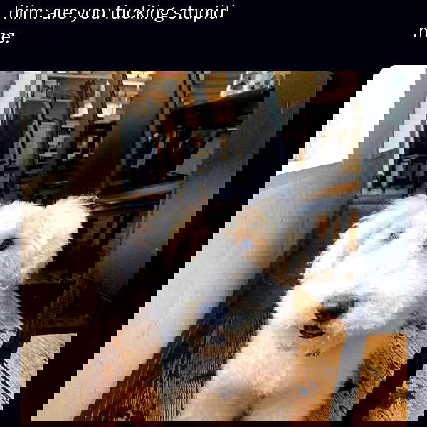 norafawn norafawn archive image