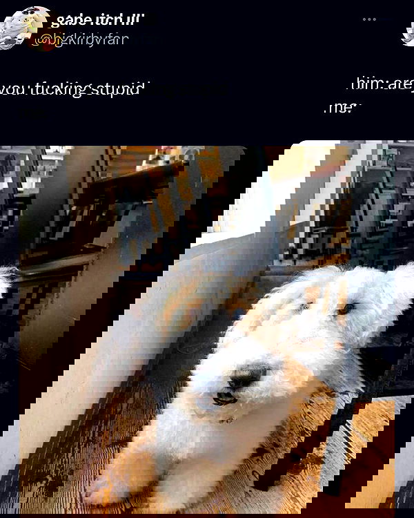 norafawn norafawn archive image