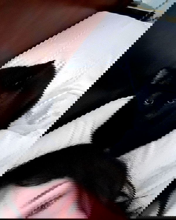 norafawn norafawn archive image