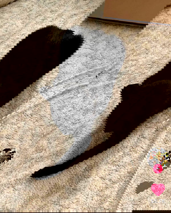 norafawn norafawn archive image