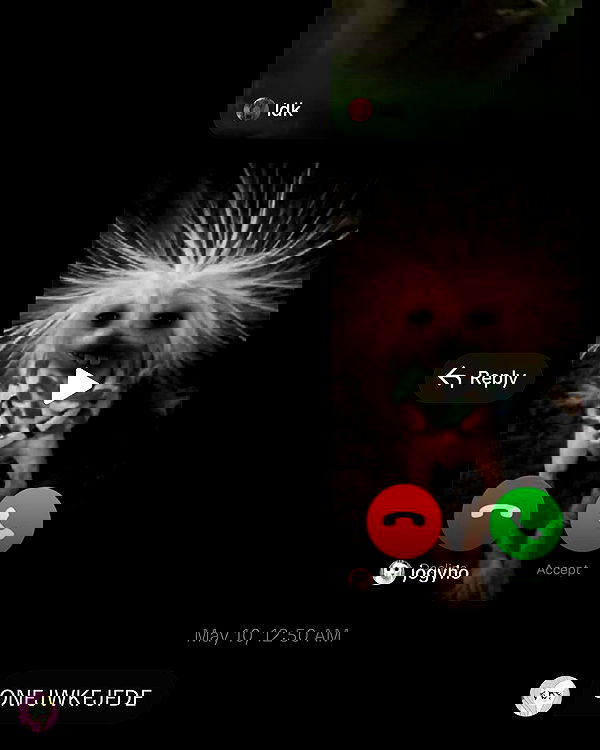 norafawn norafawn archive image