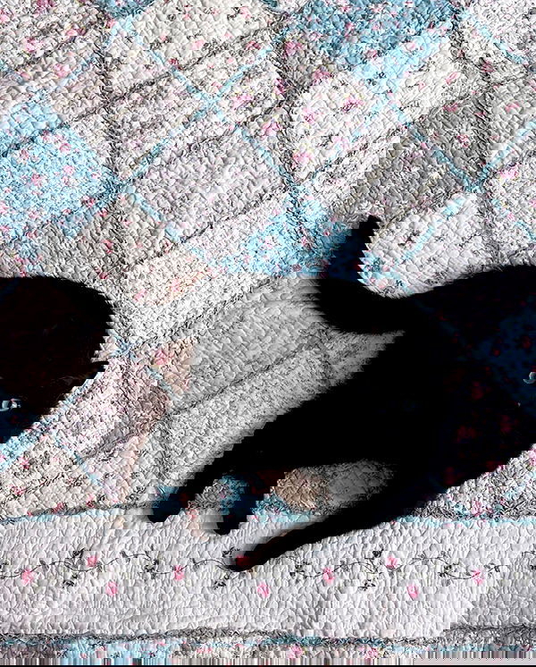 norafawn norafawn archive image