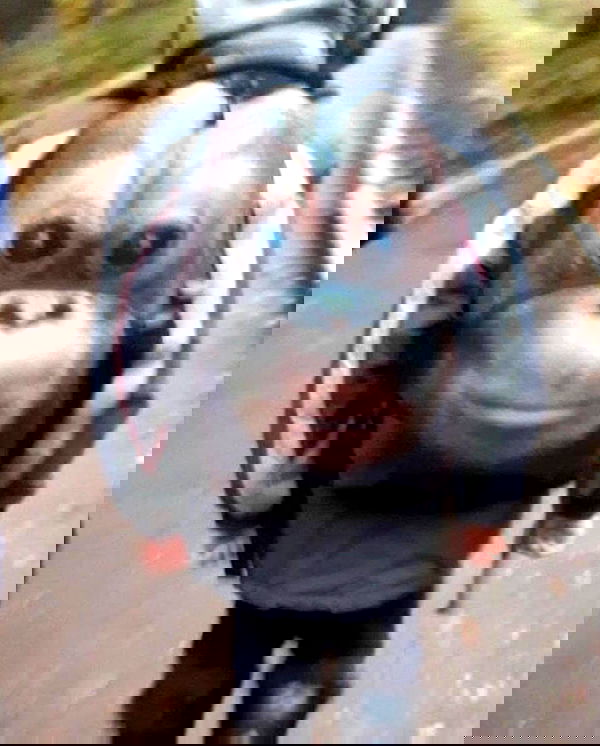 norafawn norafawn archive image