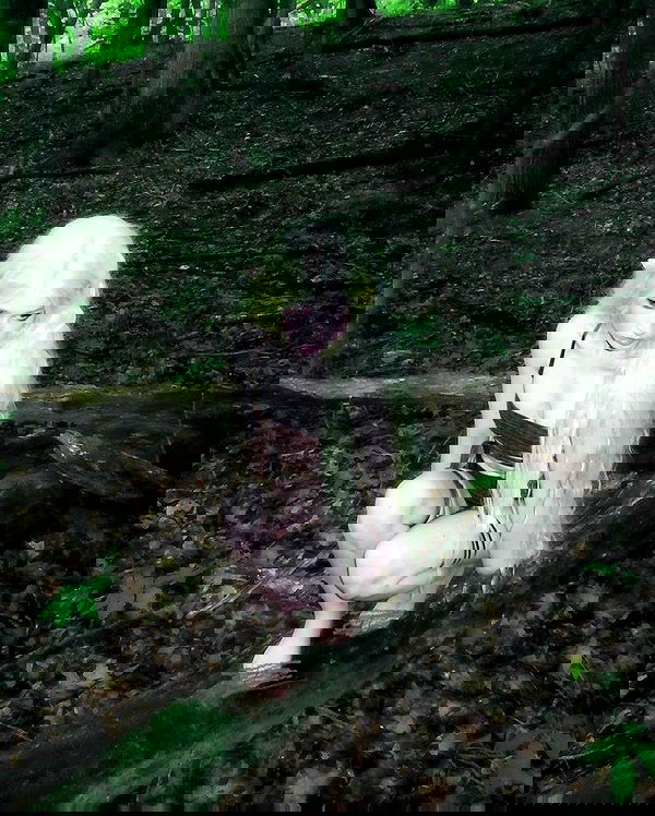 norafawn norafawn archive image