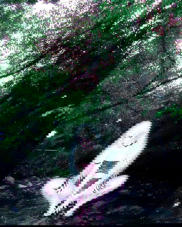 norafawn norafawn archive image