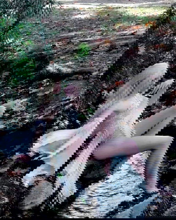 norafawn norafawn archive image