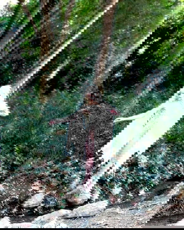 norafawn norafawn archive image