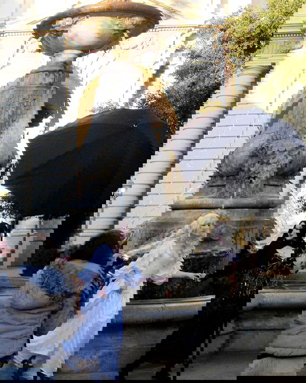 norafawn norafawn archive image