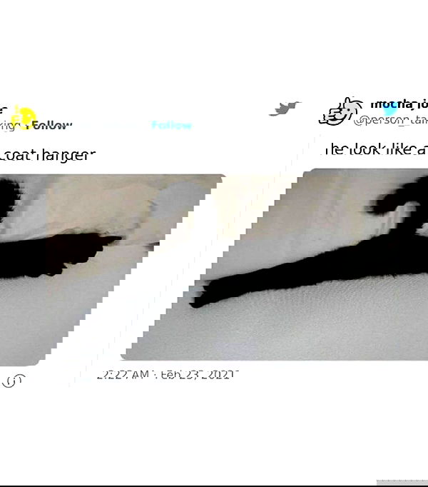 norafawn norafawn archive image