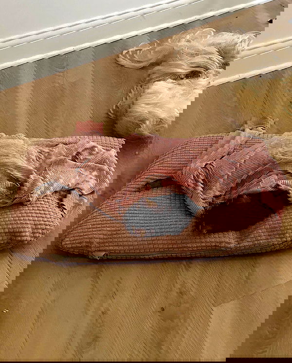 norafawn norafawn archive image