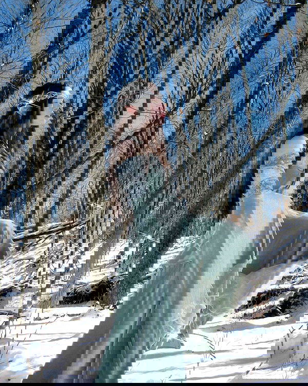 norafawn norafawn archive image