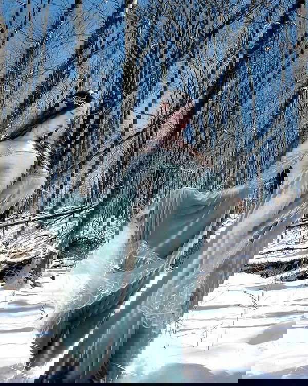 norafawn norafawn archive image