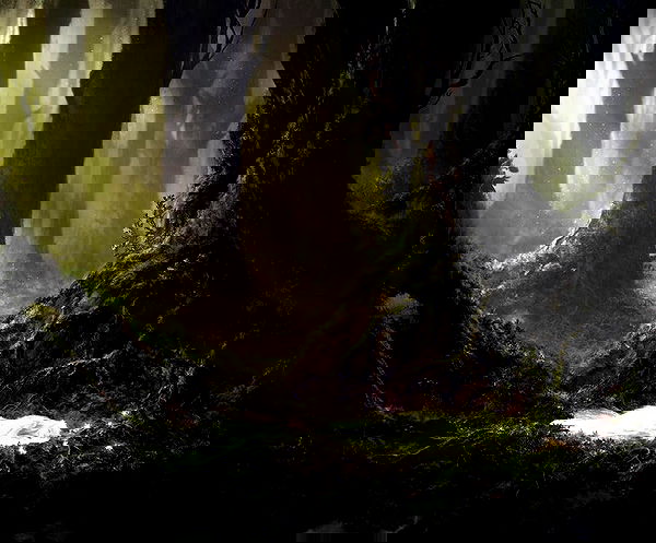 norafawn norafawn archive image