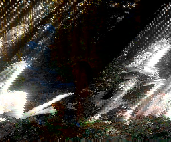 norafawn norafawn archive image