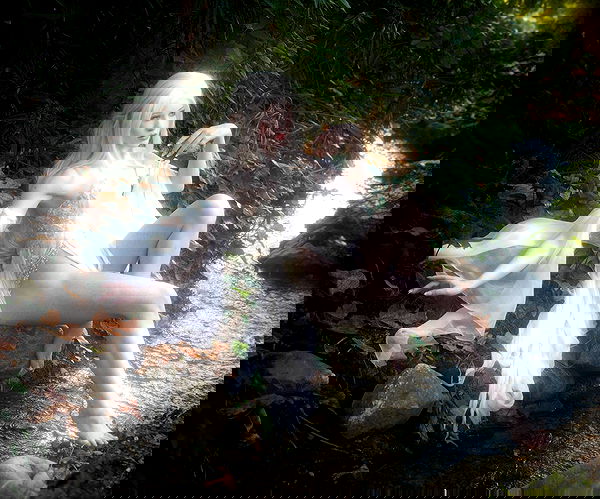 norafawn norafawn archive image