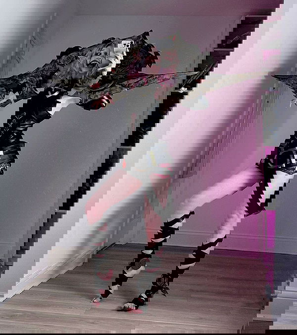 norafawn norafawn archive image