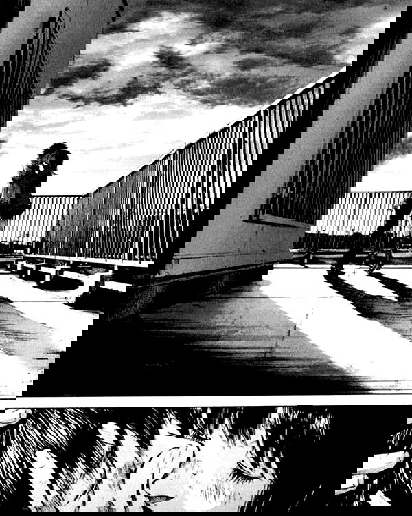 norafawn norafawn archive image