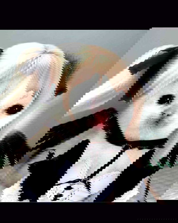 norafawn norafawn archive image