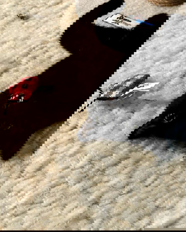 norafawn norafawn archive image