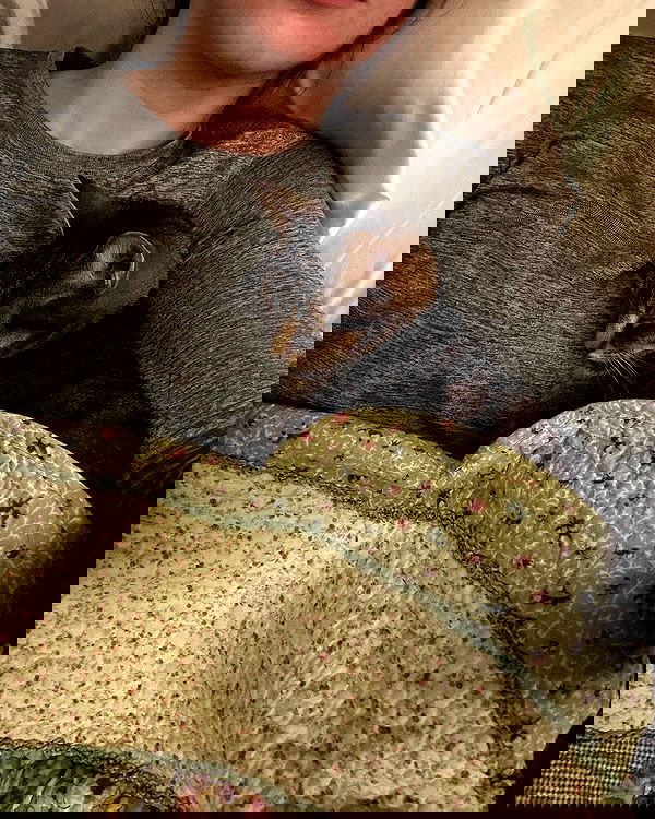 norafawn norafawn archive image