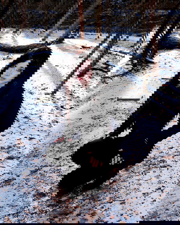 norafawn norafawn archive image