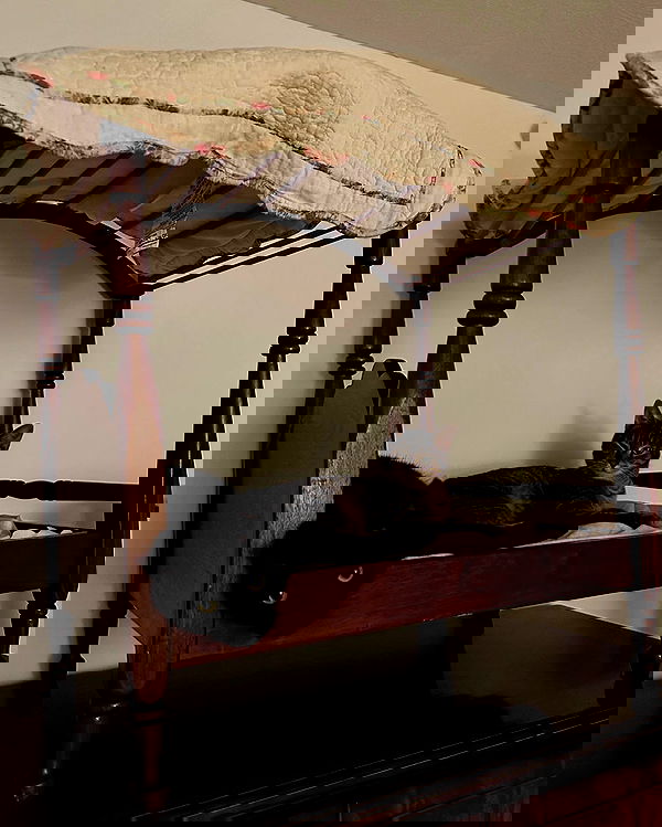 norafawn norafawn archive image