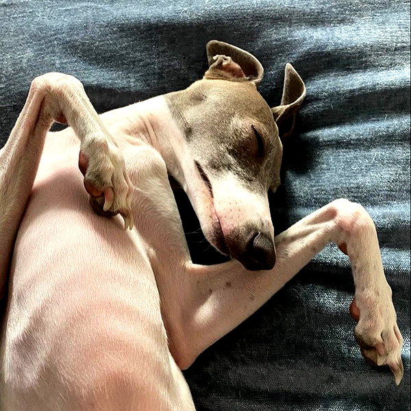 notsick3.0 instagram image archive image