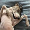 notsick3.0 Altpins Profile Picture