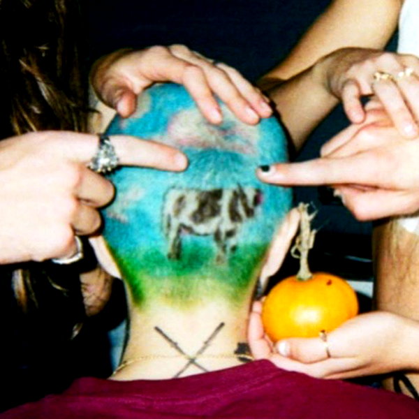 notsick3.0 instagram image archive image