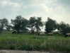 noy.razz Altpins Profile Picture