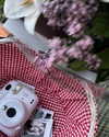 noy.razz Altpins Profile Picture